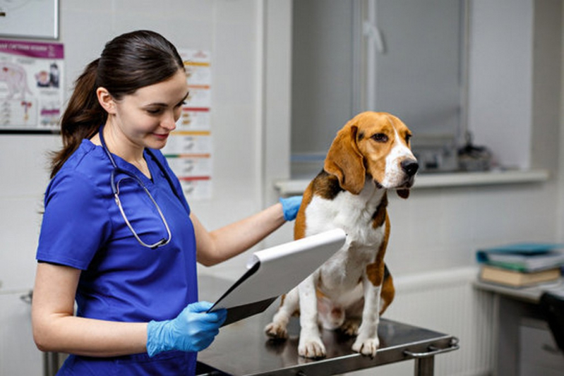 Atendimento 24h para Pets Ariranha - Atendimento Veterinário 24 Horas