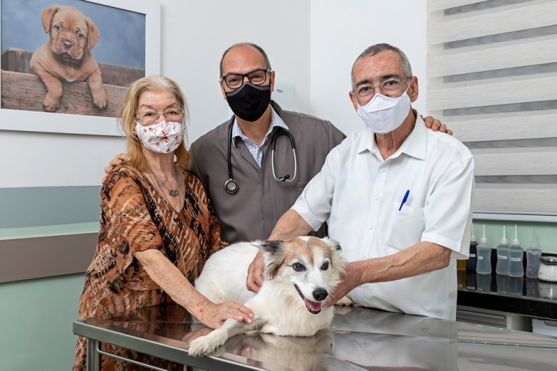 Atendimento Canino Veterinário 24h Clínica Nuporanga - Atendimento 24h para Cachorros