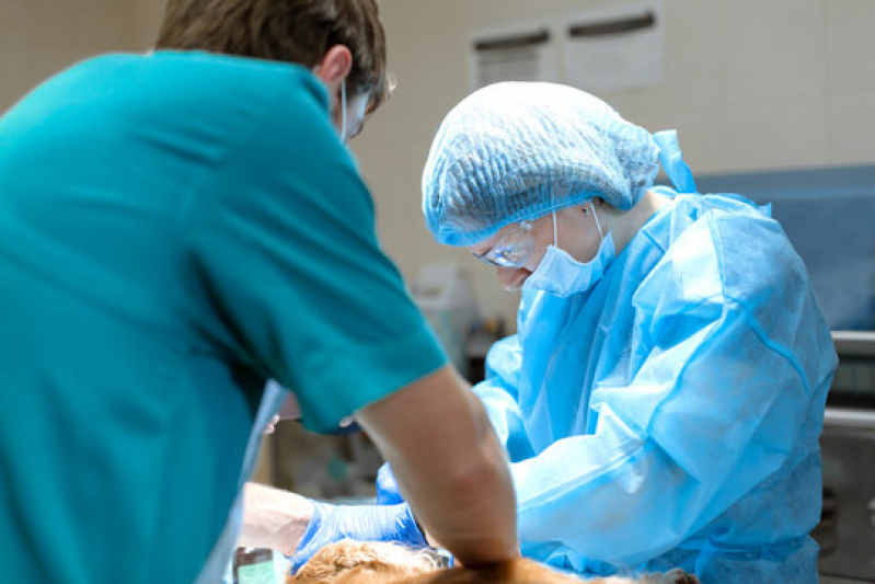 Cirurgia em Pequenos Animais Divinópolis - Cirurgia Ortopédica Veterinária
