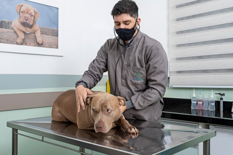 Clínica com Atendimento 24h para Pets Santa Rosa de Viterbo - Atendimento 24h para Animais