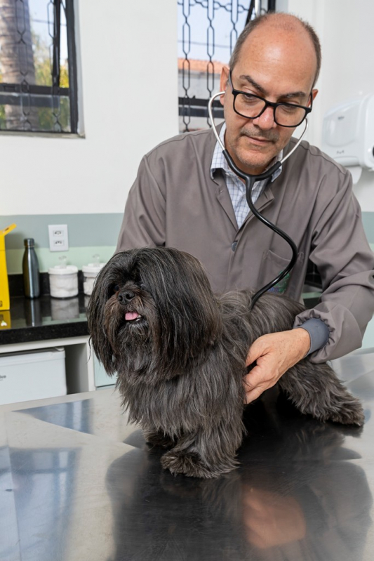 Clínica com Atendimento Canino Veterinário 24h Catanduva - Atendimento 24h para Animais