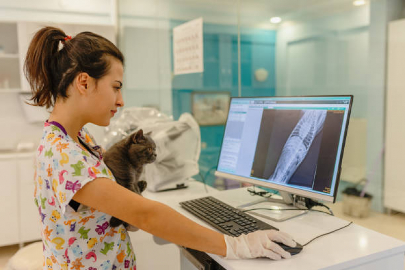 Clínica Especializada em Exame de Raio X de Tórax de Cachorro Barra - Exame de Raio X para Animais São Paulo