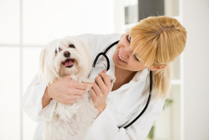 Clínica Especializada em Gastroenterologia Cachorros Guariba - Gastroenterologia para Cachorro