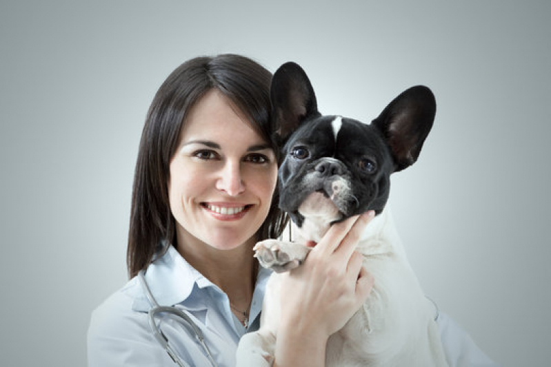 Clínica Especializada em Gastroenterologia Canina Jardim José Roberto Téo - Gastroenterologia para Animais