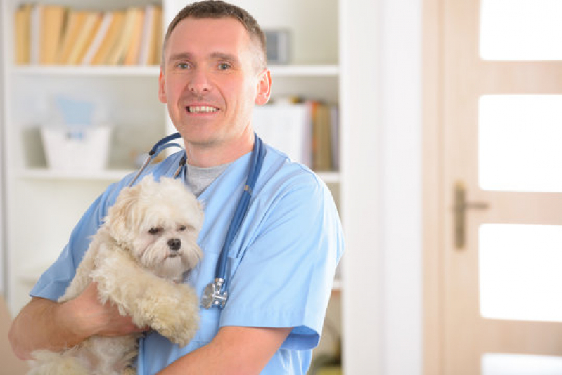 Clínica Especializada em Gastroenterologia para Animais Brodowski - Gastroenterologia Canina
