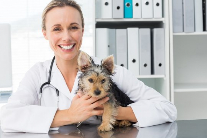 Clínica Especializada em Oncologia em Cães Serrana - Oncologia para Animais de Pequeno Porte