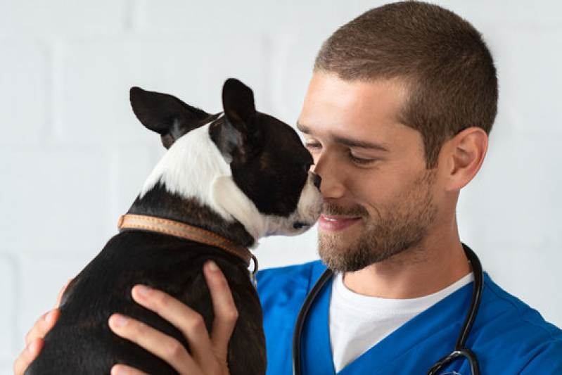 Clínica Especializada em Oncologia para Animais Ariranha - Oncologia para Cães