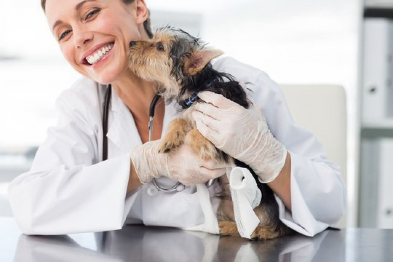 Dermatologista para Cães de Grande Porte Sales Oliveira - Dermatologia para Animais de Pequeno Porte