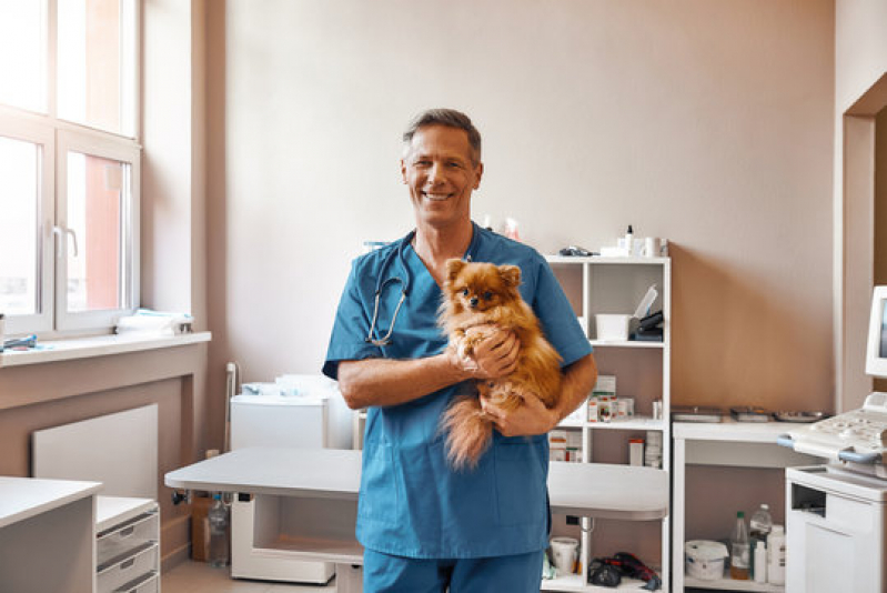 Endereço de Laboratório de Patologia Veterinária Diagnóstica Barrinha - Laboratório de Patologia para Gatos