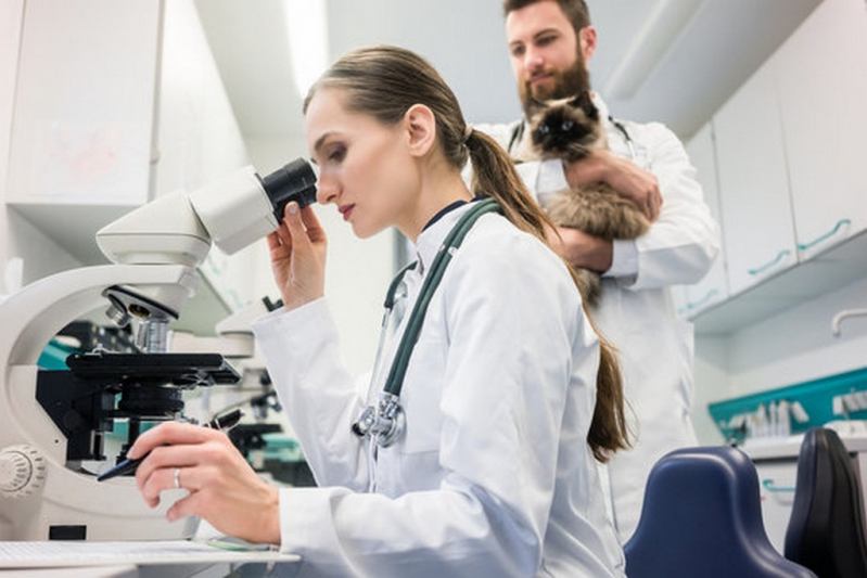 Laboratório de Análise Clínica para Animal Contato Jardim São Luiz - Laboratório de Análises Clínicas Veterinária