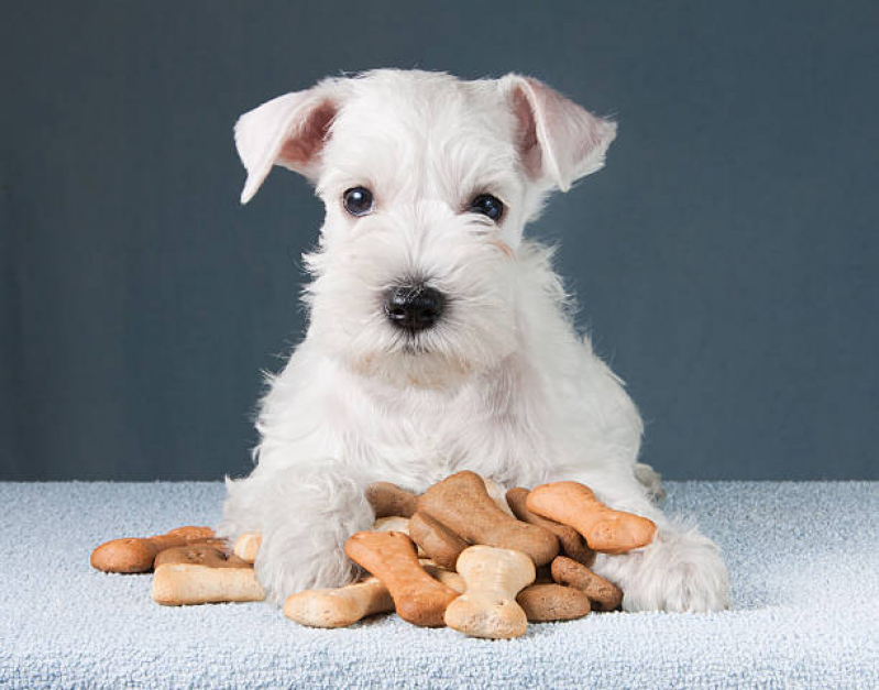 Nutrição Veterinária Animal Clínica Pitangueiras - Nutrição Veterinária para Cachorro