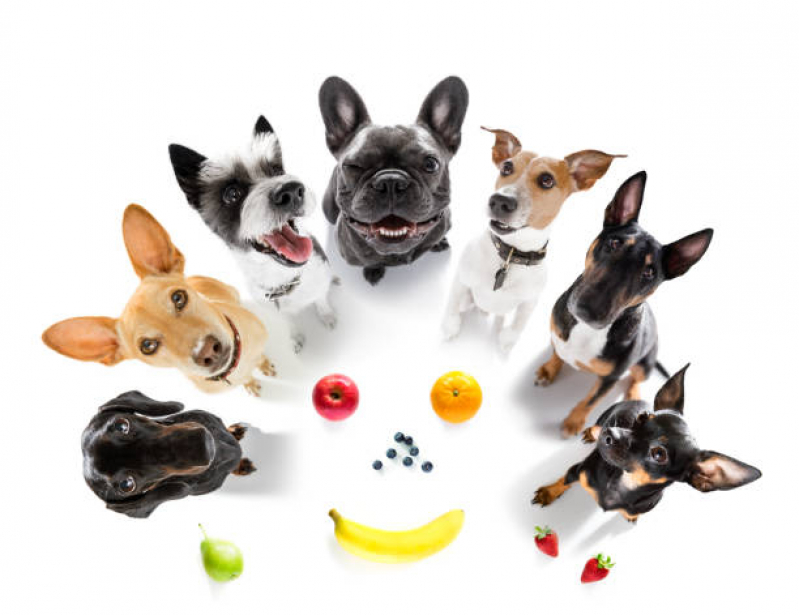 Nutrição Veterinária Canina Clínica Brodowski - Nutrição Veterinária para Animais