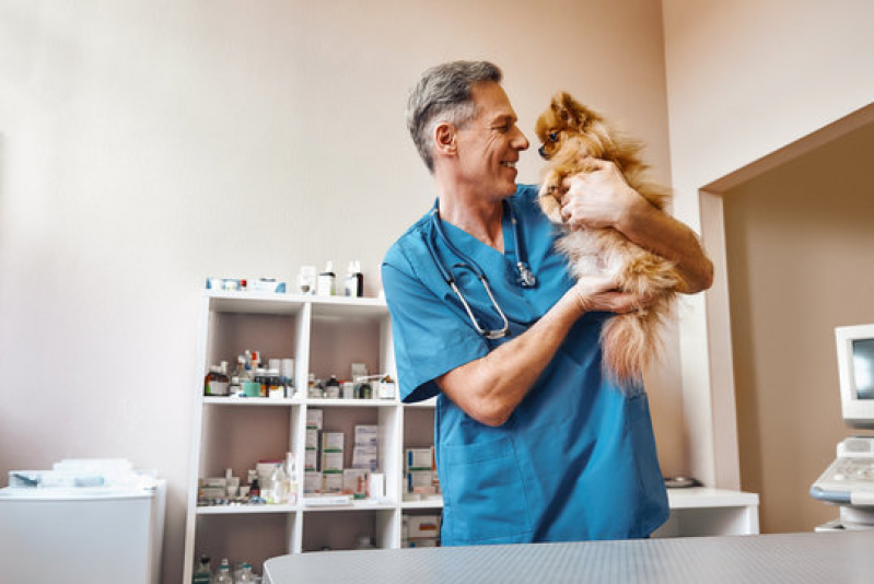 Oncologia para Animais Clínica São Joaquim da Barra - Oncologia Cães de Grande Porte