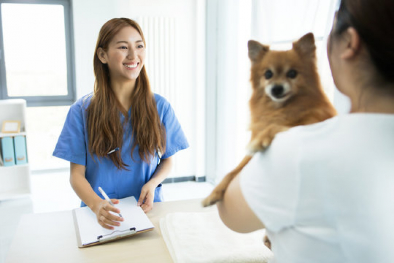 Oncologia para Cachorro de Pequeno Porte Clínica Jardim Juliana - Oncologia para Cães