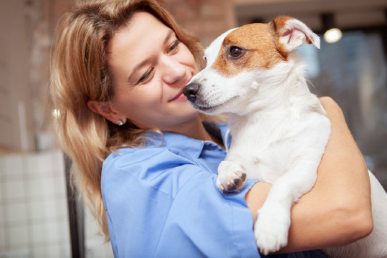 Onde Agendar Gastroenterologia para Cachorro Monte Azul Paulista - Gastroenterologia para Pet