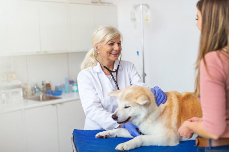 Onde Agendar Gastroenterologia para Pet Santa Rita do Passa Quatro - Gastroenterologia para Cachorro