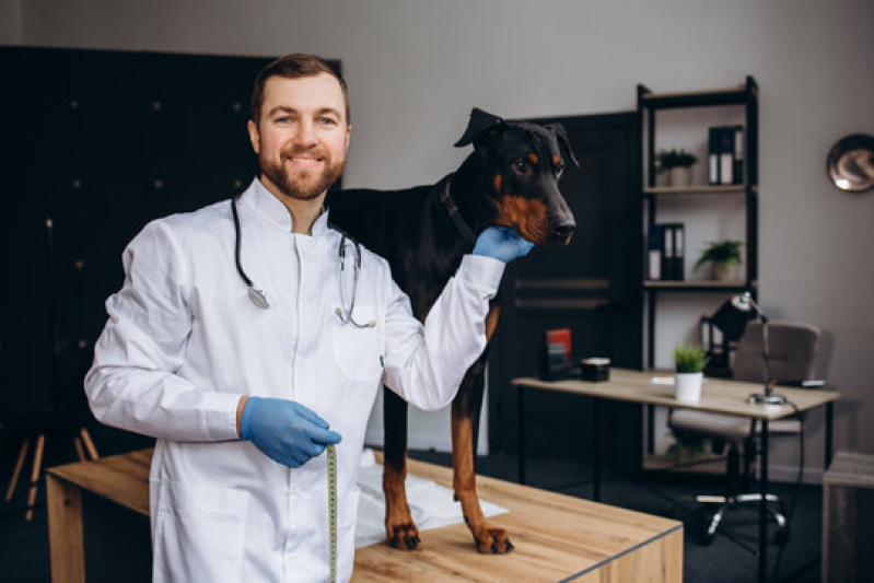 Onde Agendar Patologia para Animais Domésticos Ariranha - Patologia para Cães