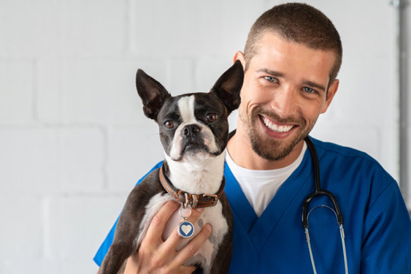 Onde Fazer Oncologia para Animais Jardim América - Oncologia de Cachorro