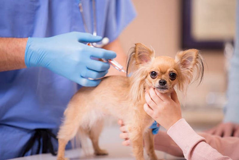 Onde Tem Vacina contra Raiva para Cachorro Parque Residencial Cidade Universitária - Vacina de Raiva Cachorro