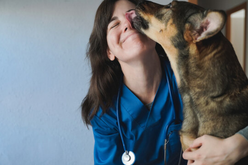 Patologia para Cães Sertãozinho - Patologia para Animais