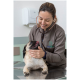atendimento canino veterinário 24h agendar Leo Gomes de Morais