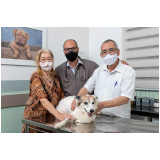 atendimento canino veterinário 24h clínica Vila Monte Alegre