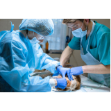 cirurgia em animais marcar Pontal