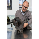 clínica com atendimento canino veterinário 24h Vila Augusta