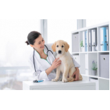 clínica com atendimento veterinário 24h Pradópolis