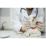 clínica especialista em patologia veterinária diagnóstica Guariba