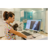 clínica especializada em exame de raio x de tórax de cachorro Barra