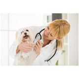 clínica especializada em gastroenterologia cachorros Barretos