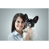 clínica especializada em gastroenterologia canina Guariba
