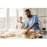clínica especializada em oncologia cães de grande porte Passos