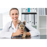 clínica especializada em oncologia em cães Serrana