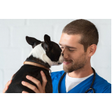 clínica especializada em oncologia para animais Sertãozinho