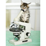contato de laboratório de análise clínica para gatos Santa Adélia
