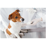 contato de laboratório de análises clínicas veterinárias Santa Adélia