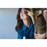 contato de laboratório de patologia para cachorros Santa Adélia