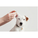 contato de laboratório de patologia para cães Bebedouro