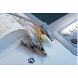 eletrocardiograma em cachorro Santa Rosa de Viterbo