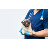 endereço de laboratório de patologia para cachorros Sertãozinho
