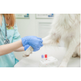 Laboratório de Análise Clínica para Pets