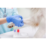 laboratório de análise clínica para pets contato Campos Elíseos