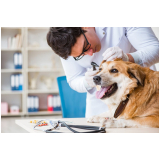 laboratório de análise clínica para pets Taiaçu