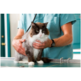 laboratório de análises clínicas veterinária Dumont