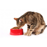 nutrição veterinária para gatos Guatapará