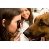 oftalmologia veterinária Ipiranga