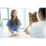 oncologia para cachorro de pequeno porte clínica Guatapará