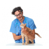 onde agendar gastroenterologia para gatos Patrocínio